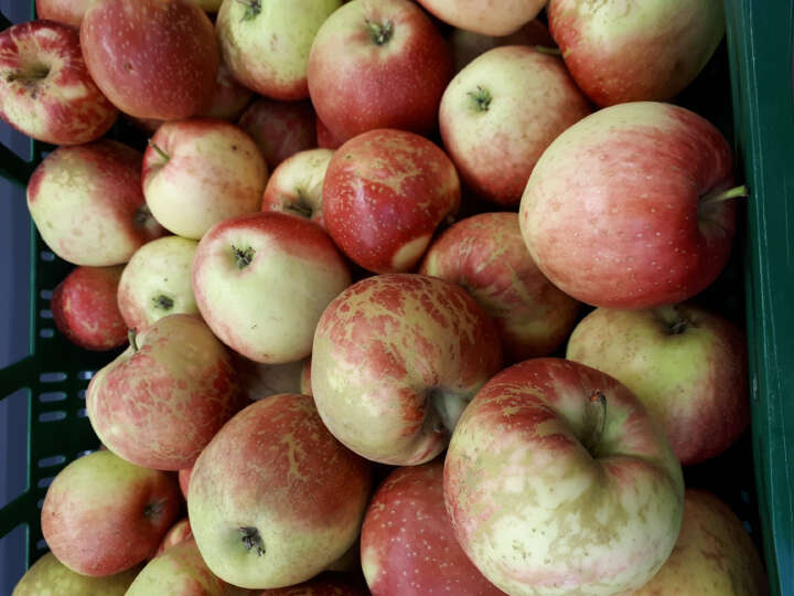 Apfel!